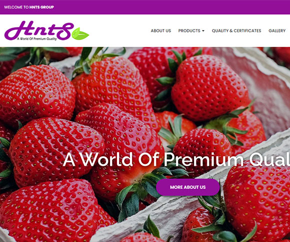 HNTS Group